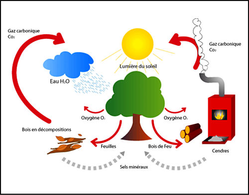 Environnement